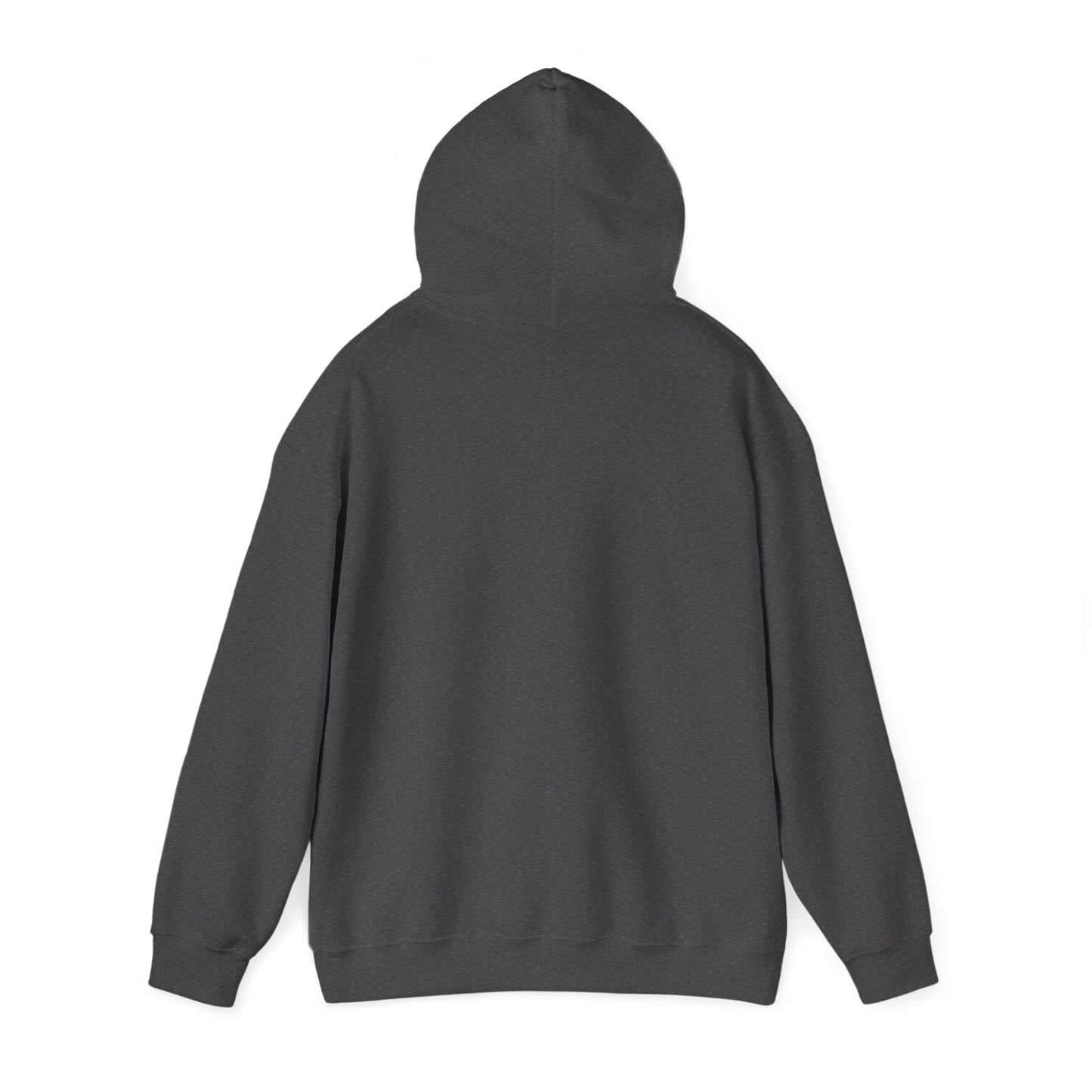 Trip to Ethiopia-2 Unisex Heavy Blend™ Hooded Sweatshirt