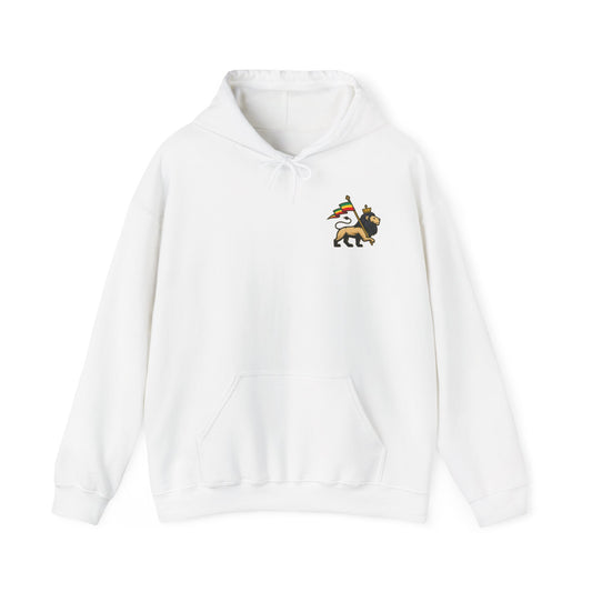 Lion of Zion Unisex Hoodie  Heavy Blend™