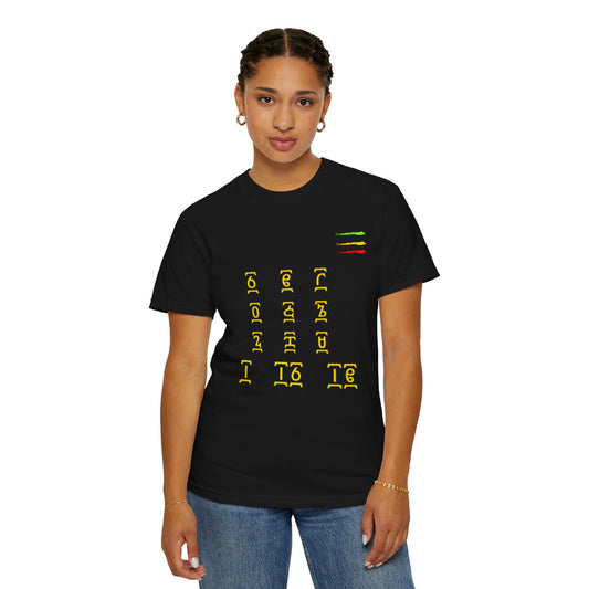 Geez  Unisex Garment-Dyed T-shirt